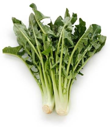 NATIONAL GARDENS Cicoria Catalogna Chicory Vegetable Seeds Seed