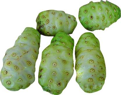 Futaba Noni Fruit Seed