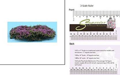 Generic Creeping Phlox, Purple