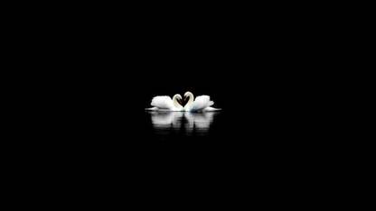 Athahdesigns Anime purity-black-mac-white-apple-macwallhd-Wallpaper Paper Print