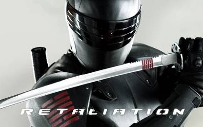 retaliation-movie-review--snake-eyes Wall Poster Paper Print