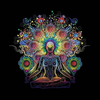 Nirvana Hippie Cannabis Poster - Weed Posters - Just get high posters - Posters for Home & Office Fine Art Print