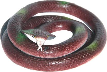 HOMESHOPEEZ Rubber Snake Gag/Prank Toy-F-Brw