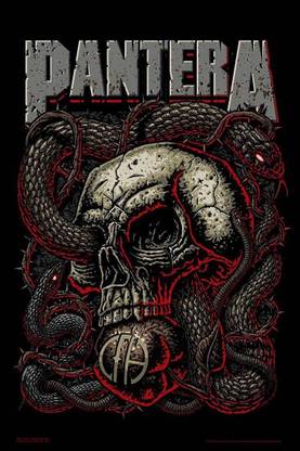 Wall Poster Pantera Paper Print