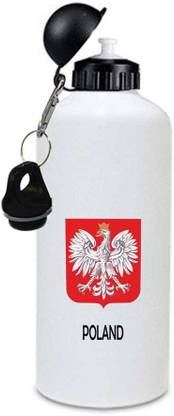 JUVIXBUY 334 ml Steel Sipper