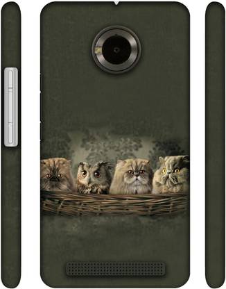 Casotec Back Cover for Yu Yuphoria