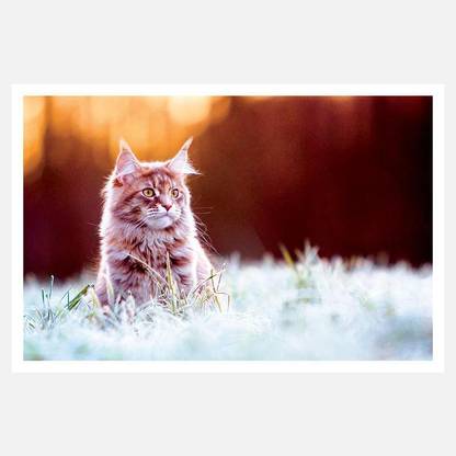 CRAZYINK(Cat Gud Bokeh Effect)WALL POSTER (12 * 18) INCH Paper Print
