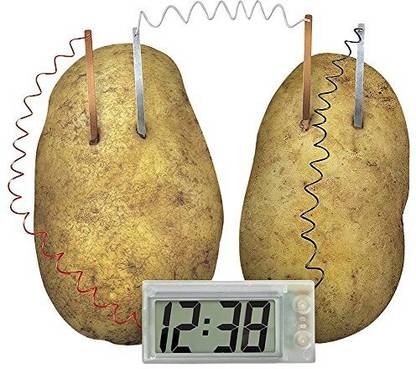 GogoForward Potato Powered Clock Novel Green Science Project Experiment Kit Kids Lab Battery