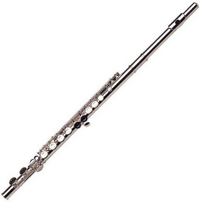 Gemeinhardt 2Sp Flute With Straight Headjoint
