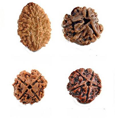 FASHION MART 100% original Real Rudraksha Beads (2 to 5 Mukhi) Wood Locket