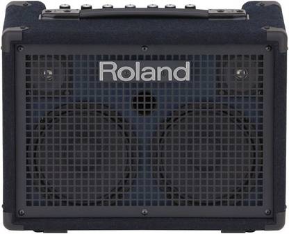 Roland KC-220 Battery Powered Stereo Keyboard Amplifier Guitar Processor