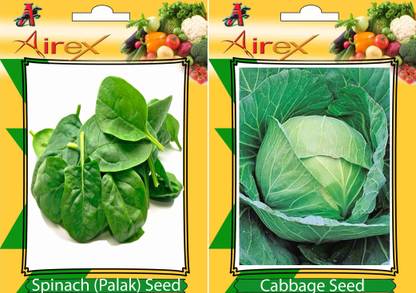 Airex Spinach and Cabbage Vegetables Seed + Humic Acid Fertilizer (For Growth of All Plant and Better Responce) 15 gm Humic Acid + Pack Of 30 Seed Spinach + 30 Cabbage Seed