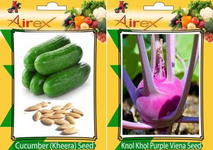 Airex Cucumber (Kheera), Knol Khol Purple Viena Seed
