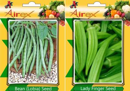Airex Bean (Lobia), Lady Finger Seed