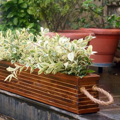Point of Hue Long Plank Double Partition Wooden Planter Plant Container Set