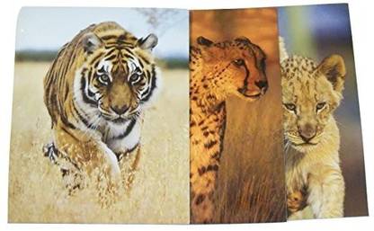 Staples Two Pocket Paper Folder ~ Set Of 3 Animal Folders (Majestic Tiger, Prowling Cheetah, Lion Cub Brotherly Love)