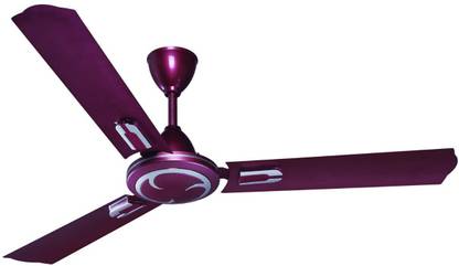 ramy Boxer with 1 Year Warranty Ceiling Fan