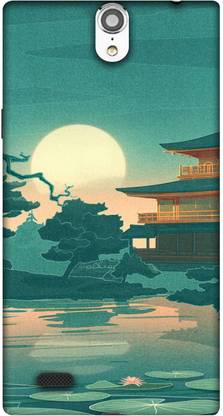 Casotec Back Cover for XOLO Q1010i