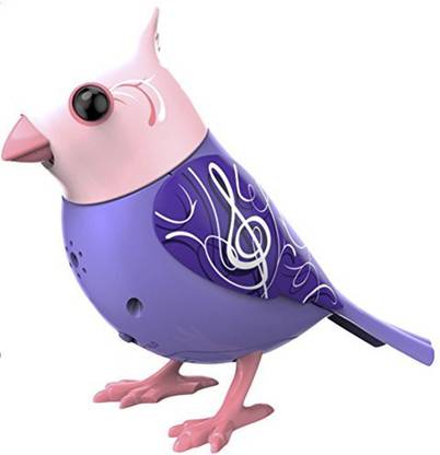 Digi Birds Digibirds Bird