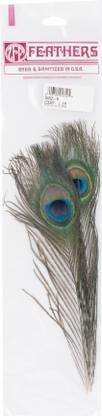 Zucker Peacock Eye Feathers 2 Per Package - Natural