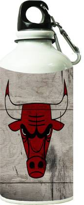 ShopBuzz 600 ml Steel Bottle