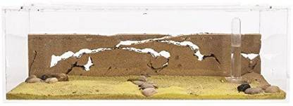 anthouse Sand Ant Farm Big - Anthill, Formicarium, Educational, Ants -