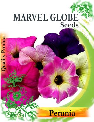 Gkart Petunia Mixed, Nightshade Family (Solanaceae), Multi Colors Seed