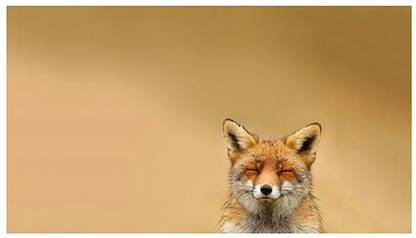 Posterlo 30.48 cm wall sticker Non-Reusable Sticker