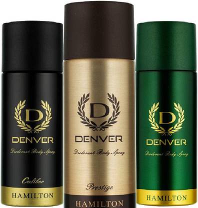 DANVER TNGD6 Deodorant Spray  -  For Men
