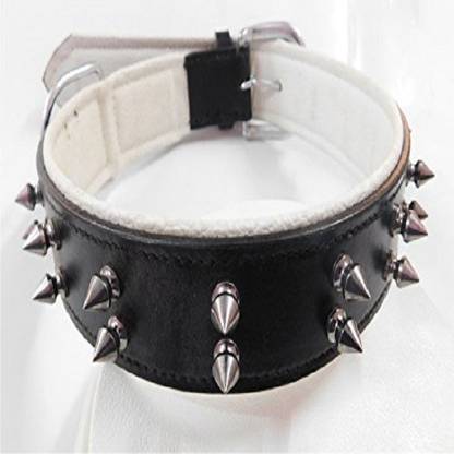 Skora Stylish Double Row Spike Dog Head Collar