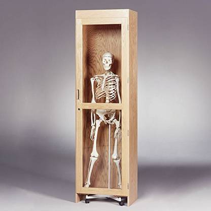 Generic Diversified Woodcrafts 377-2422 Solid Oak Wood Roll In Skeleton Cabinet, 24" Width X 84" Height X 22" Depth