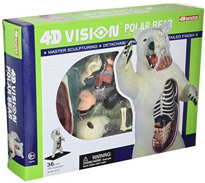 D Master 4 4D Vision Polar Bear Anatomy Model Science Kit, One Color, 26097