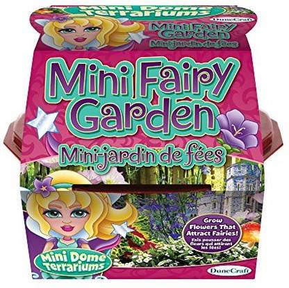 Dunecraft 28074 Fairy Garden Mini Dome Terrarium Toy