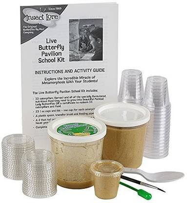 Insect Lore School Kit Refill With 33 Live Caterpillars Habitat
