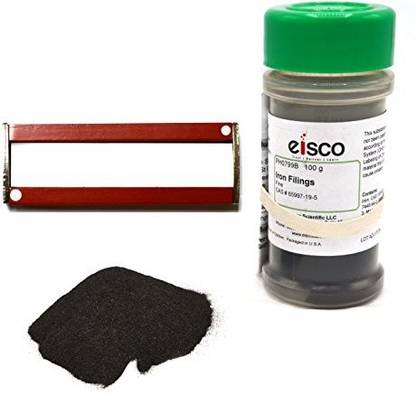 Generic Fine Iron Filings And Magnet Set - 100G Filings In Sprinkler Jar W/ 2 Magnets (3") - Eisco Labs