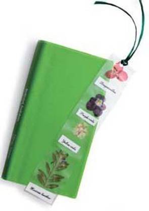 Nature Watch Pressed Flower Bookmark Craft Kit (Makes 25 Projects)