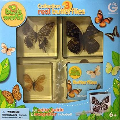 Geoworld Collection Of Real Butterflies In Resin