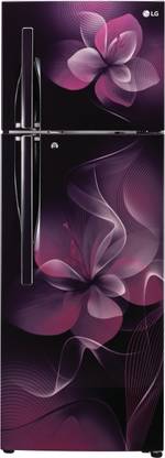 LG 308 L Frost Free Double Door 2 Star Refrigerator