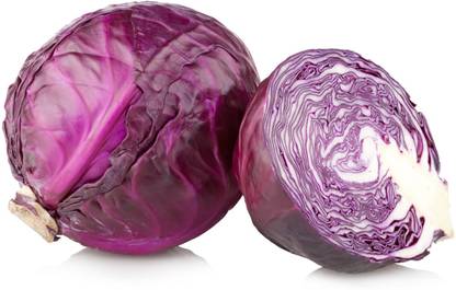 Root Bridges Red Cabbage Seed