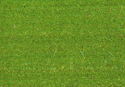 REVTURF REVTURF™ High Density Artificial Grass Carpet Mat For Balcony, Lawn, Door ( 17 X 24 INCH) Artificial Turf Roll