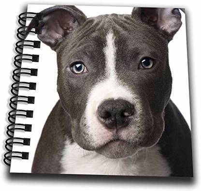 3dRose db_4240_3 American Pit Bull Terrier Puppy Mini Notepad, 4 by 4"