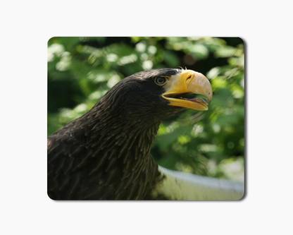 iKraft Mouse Pad 18x22cm Non-Slip Rubber Eagle with Open Beak Printed Gaming Mouse Pad Mate for Home Office Non Slip Base Mousepad