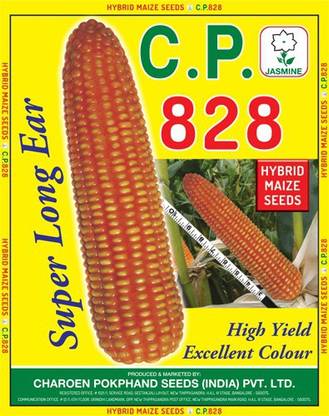 CP Seeds CP 828 Seed