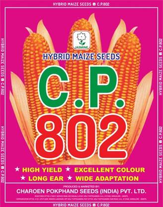 CP Seeds CP 802 Seed