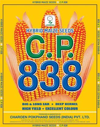 CP Seeds CP 838 Maize Seed Seed