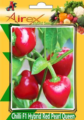 Airex Chilli F1 Hybrid Red pearl Queen Seed (4 Packet Of Chilli F1 Hybrid Red pearl Queen Seed (Pack of 30 Seed * 4 Per Packet) Seed