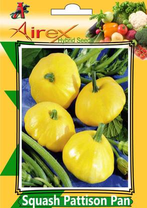 Airex Squash Pattison Pan Seed (1 Packet Of Squash Pattison Pan Seed (Pack of 10 Seed * 1 Per Packet) Seed