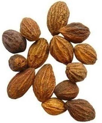 Generic 25 Seeds of Rare & Precious Terminalia Chebula Chebulic Myrobalan Haritaki Kadukka Tree Seed