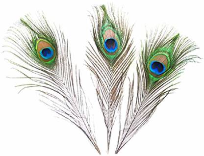 AB WORLD CLASS Pack of 3 Decorative Feathers