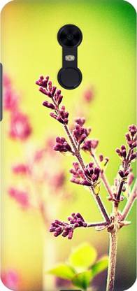 Aspir Back Cover for Mi Redmi Note 5